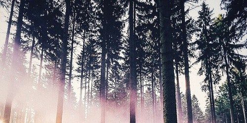 AntuSepulveda's profile banner image