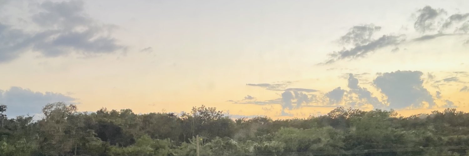 Raquelirenecm's profile banner image