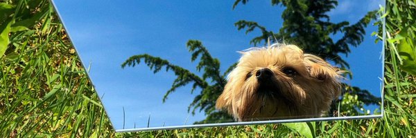 aerikiim Profile Banner