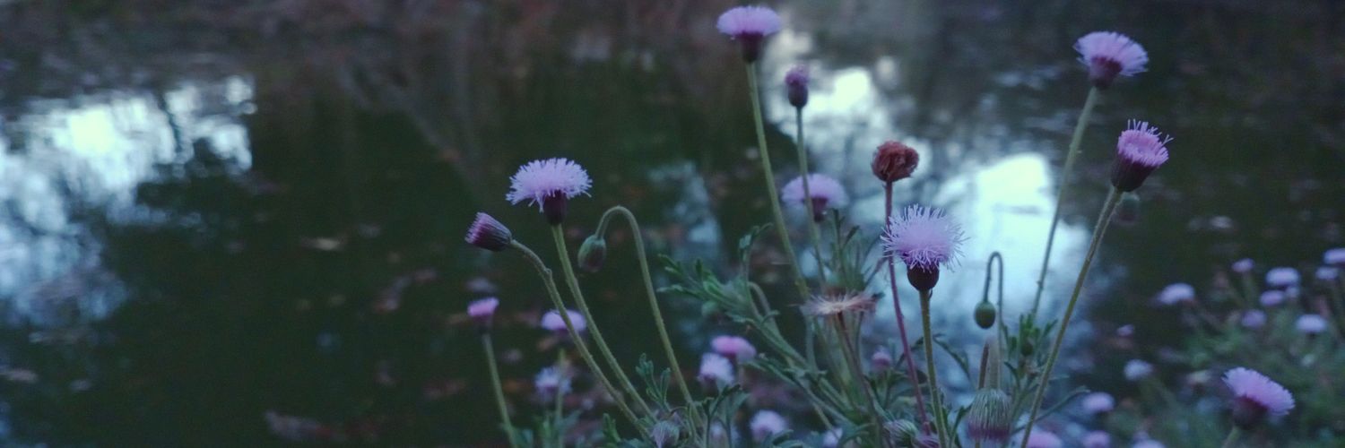 solrussek's profile banner image