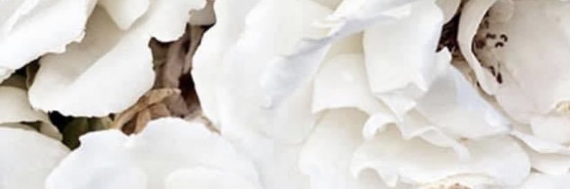 _thatsamelia's profile banner image