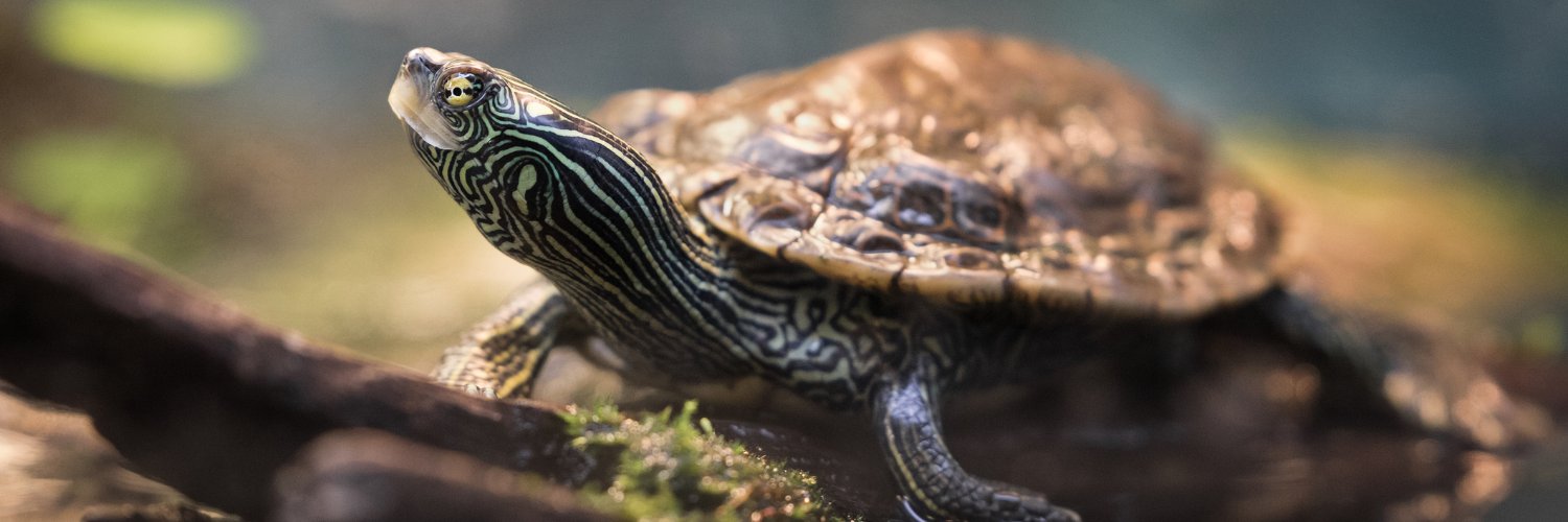 BiologistesQc's profile banner image