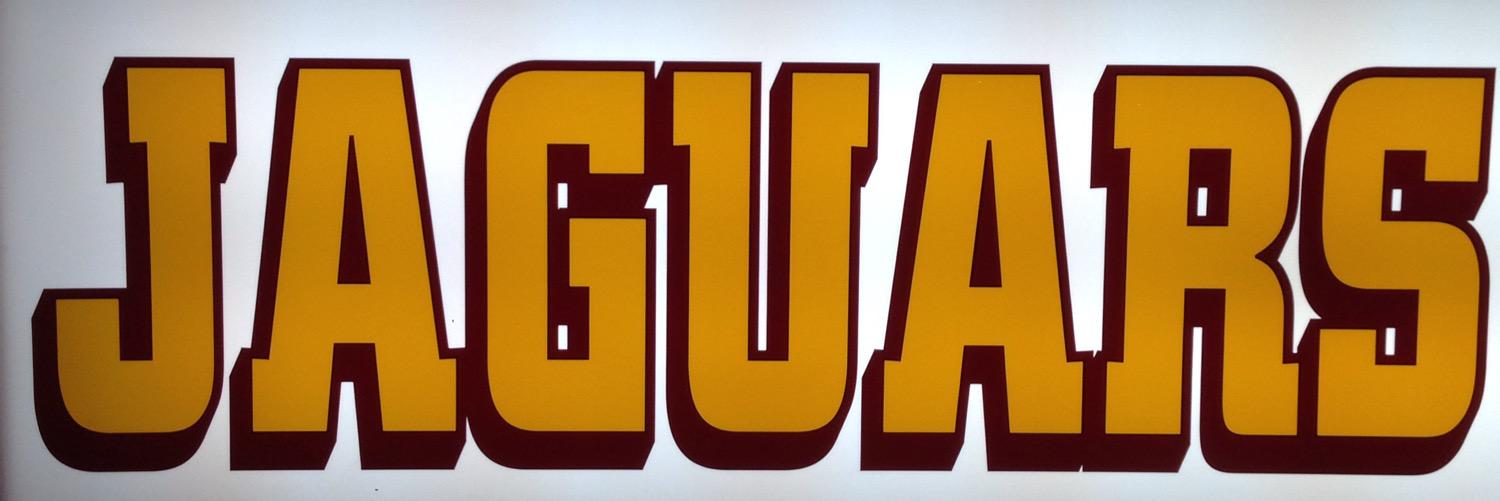 Cooper Sports Med banner