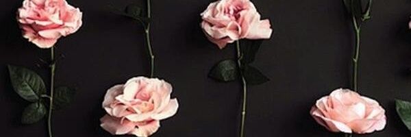 thaiswagger's profile banner image