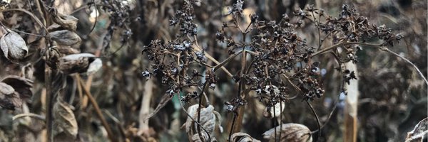 croisign Profile Banner