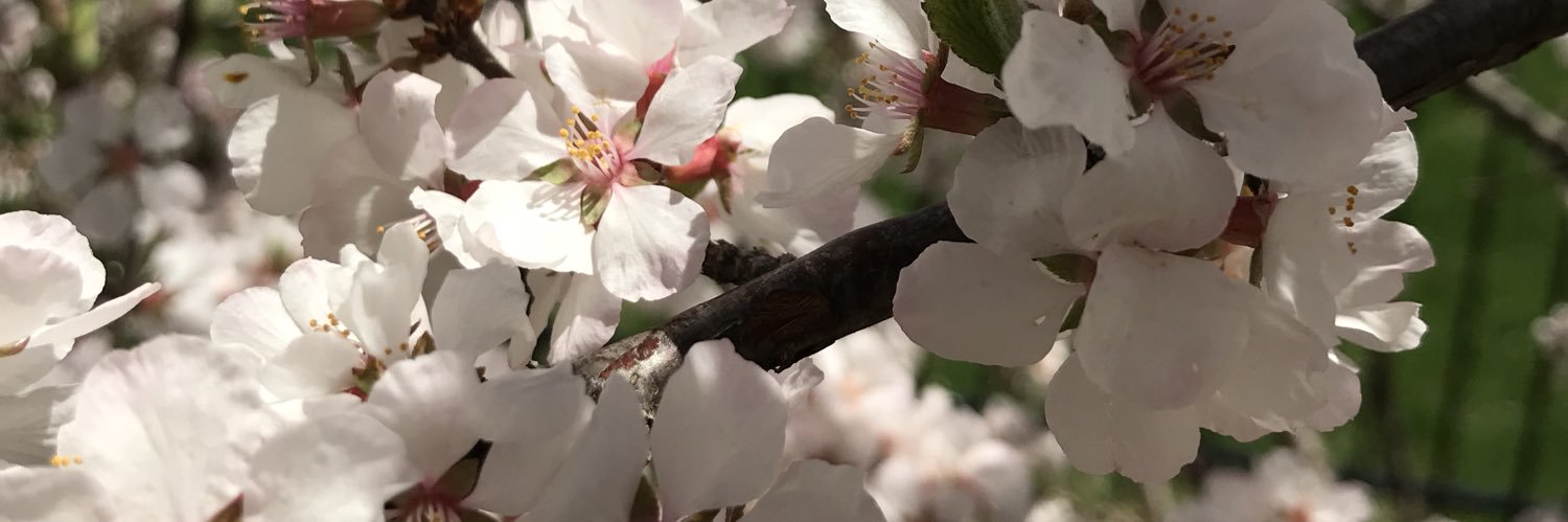 aagalipeau's profile banner image