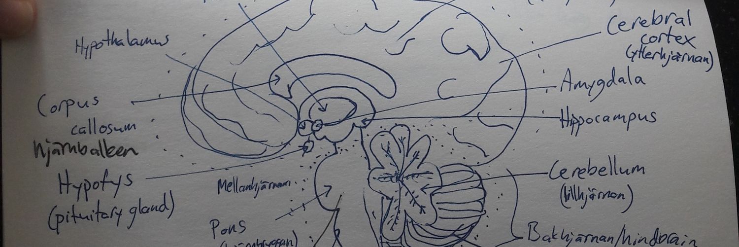 HQNEY's profile banner image