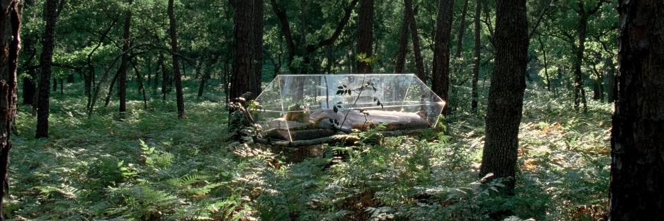 Chris Herbert banner