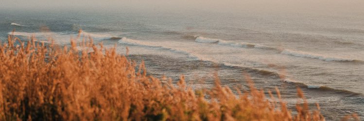 JarydMWhite's profile banner image