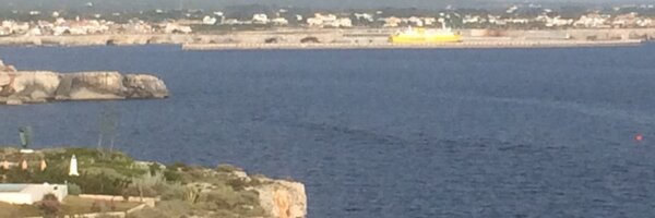 flynn_mc Profile Banner