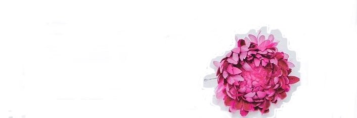 cozweyoung's profile banner image