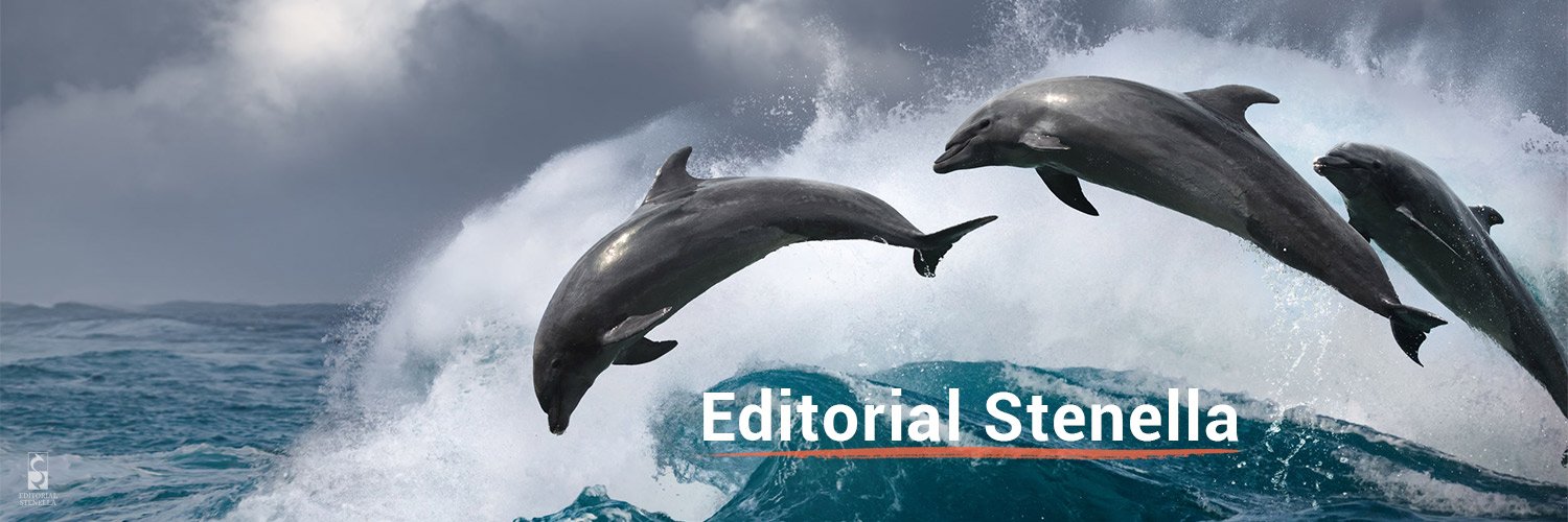 Ed_Stenella's profile banner image