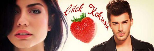 AytilLove's profile banner image