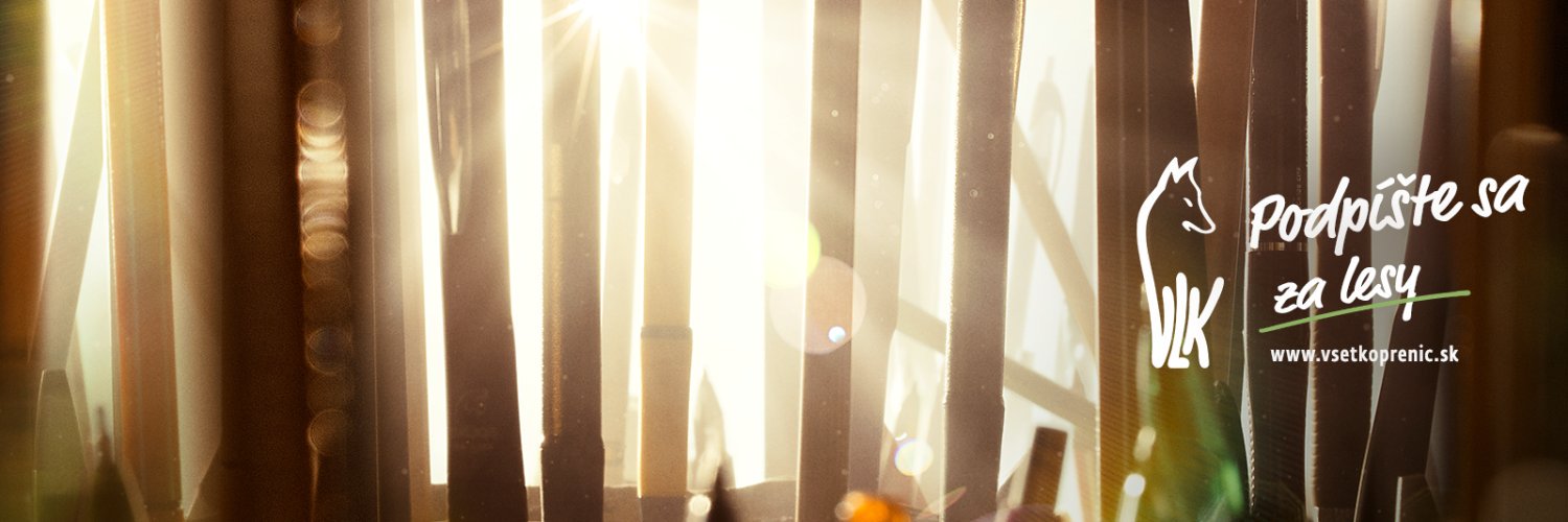 LZ_VLK's profile banner image