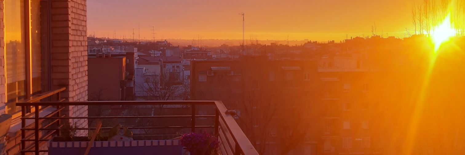 Manualdo93's profile banner image