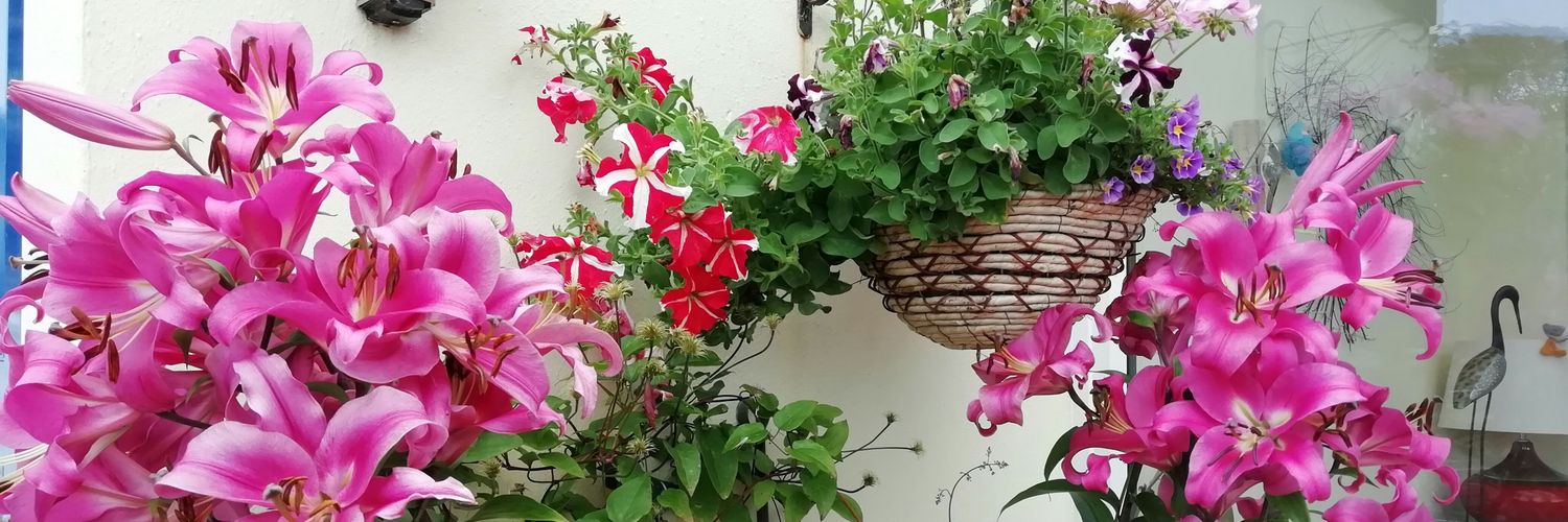 Graham Andrews (Graham's Garden Buddies) banner