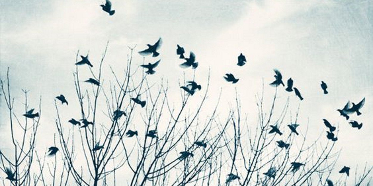 Ralfe__'s profile banner image