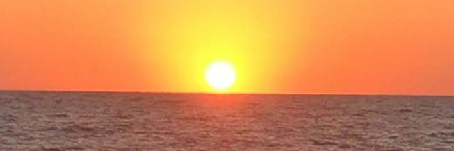 Jorge Nevarez banner