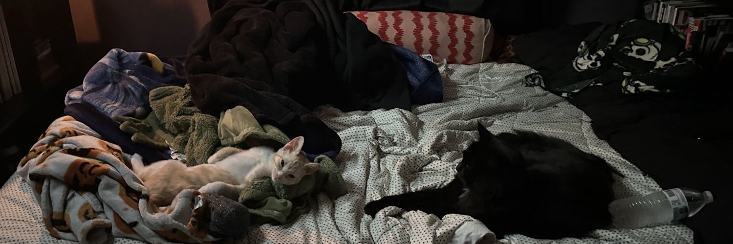 bitchhitsdani's profile banner image