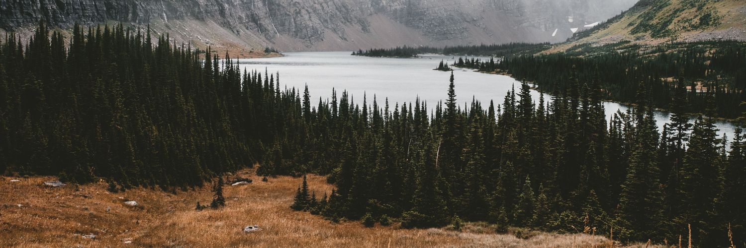 almaulana___'s profile banner image