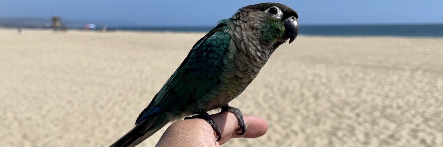 CharlieArbelaez's profile banner image