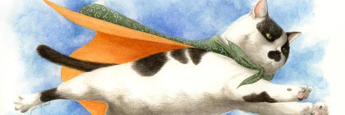 saibyou's profile banner image