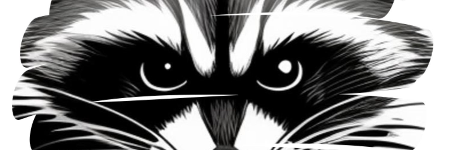 MapacheFutbol's profile banner image
