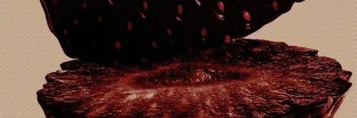 itsCrashxx's profile banner image