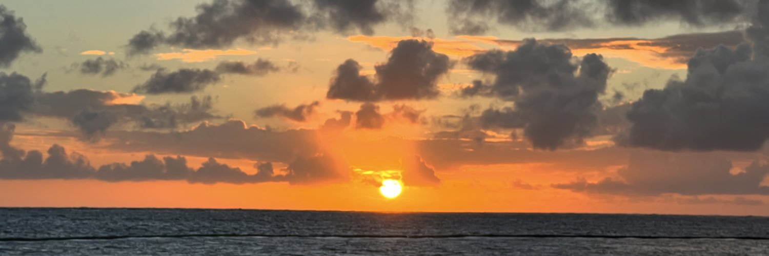 𝘽𝙧𝙞𝙖𝙣 𝙃𝙤𝙬𝙖𝙧𝙙 banner