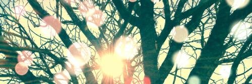 KumiFer's profile banner image