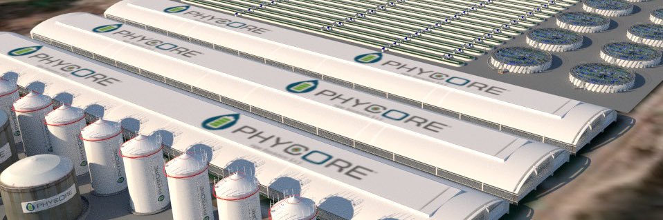 Phycore's profile banner image