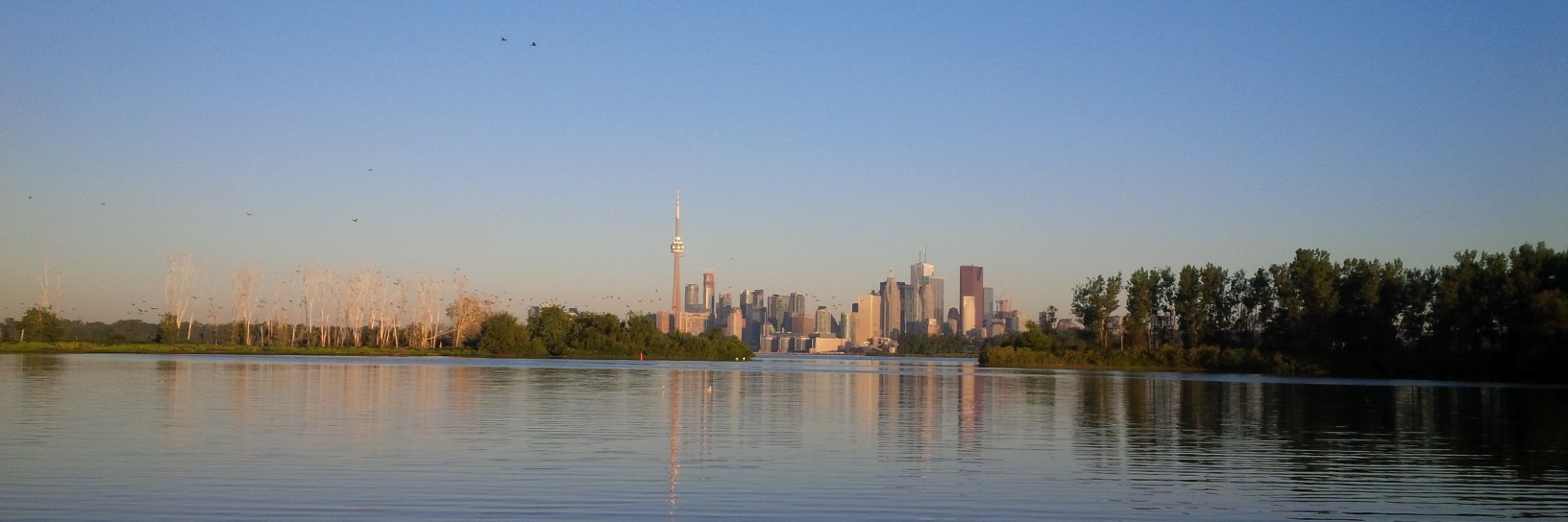 Toronto Remedial Action Plan (RAP) banner