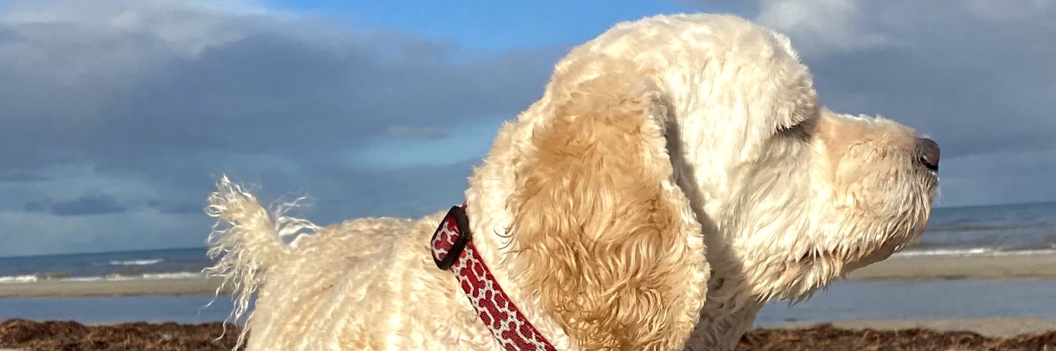 DebraDebbie65's profile banner image