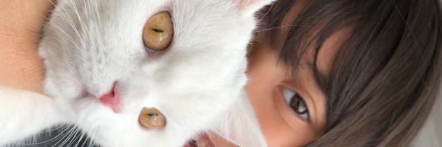 Sertan78's profile banner image