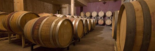 CaveRidge Profile Banner