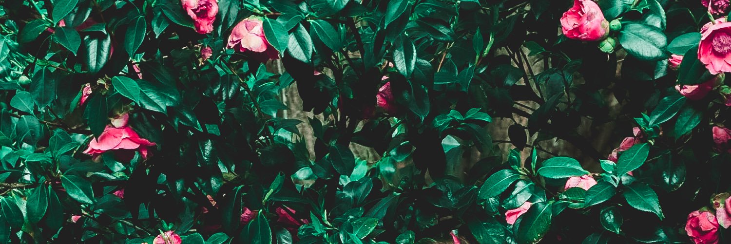 kendslice's profile banner image