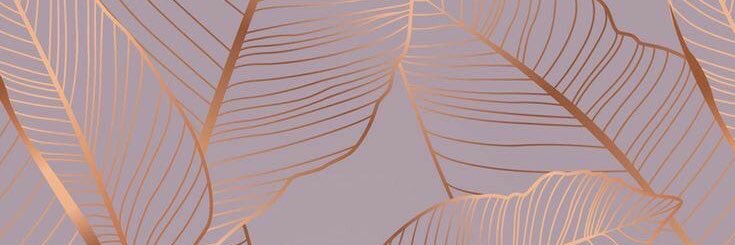indiia_w's profile banner image