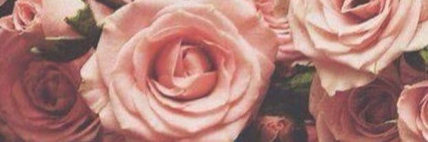 _NatyVasques's profile banner image