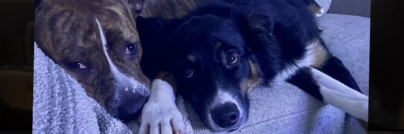 AustinGilbert06's profile banner image