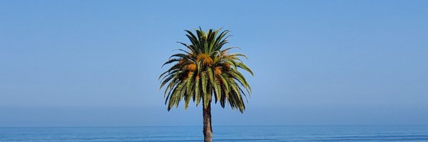 jimcarrollCOO Profile Banner