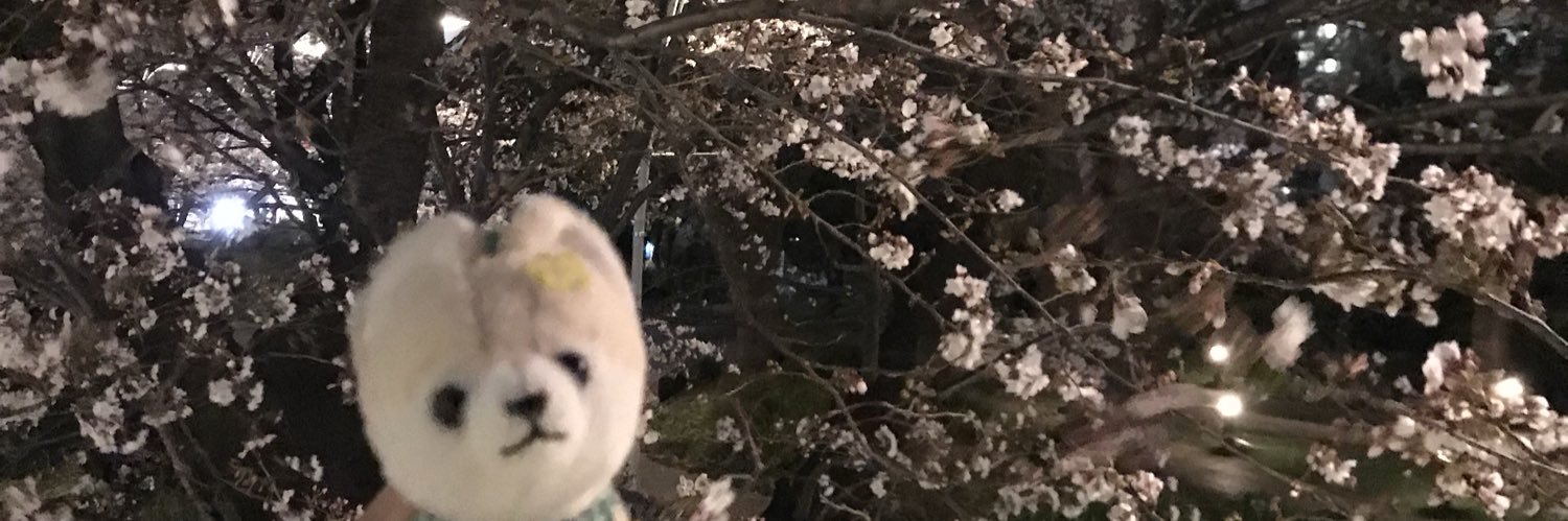 180705S's profile banner image