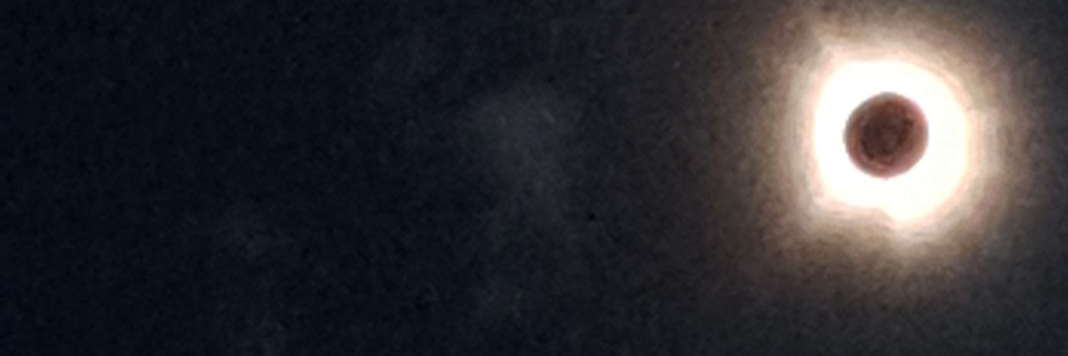 magicstacey's profile banner image