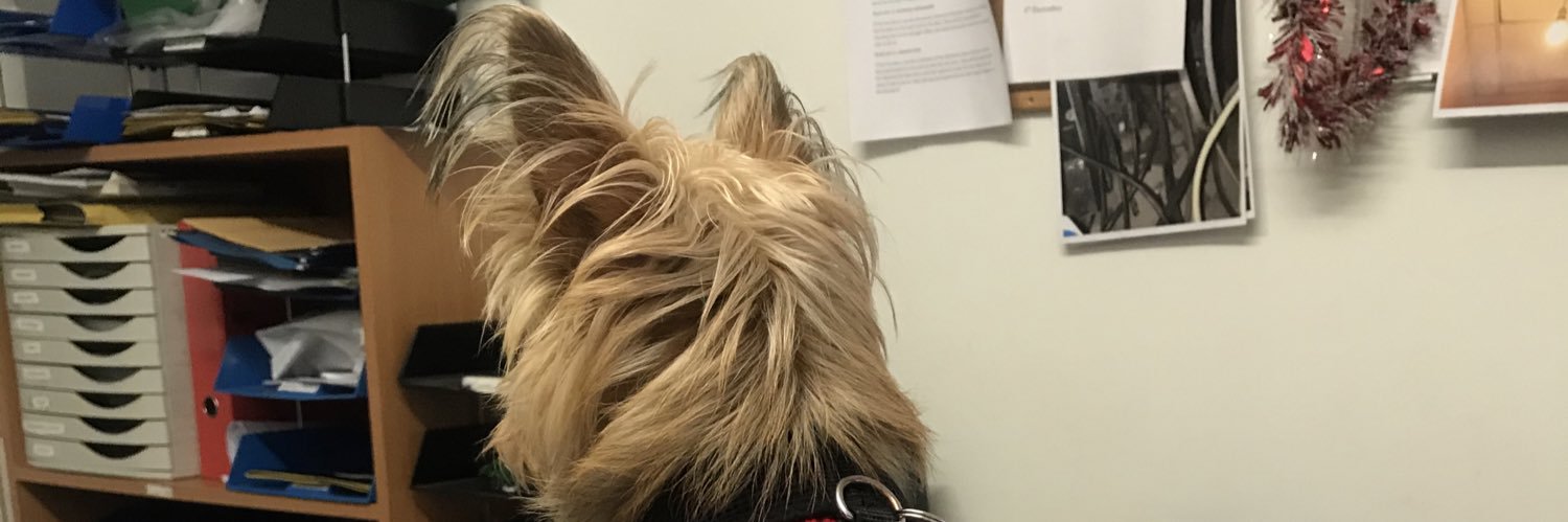 lindamgoldsmith's profile banner image