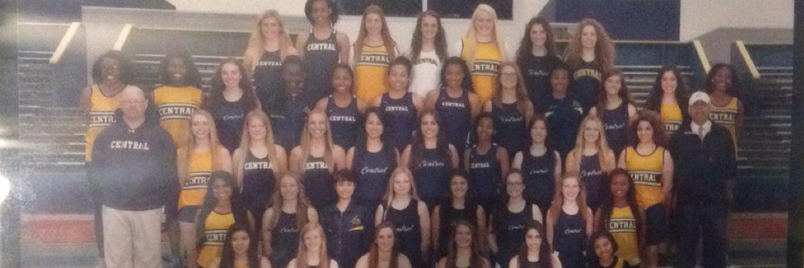 WLC Girls Track banner