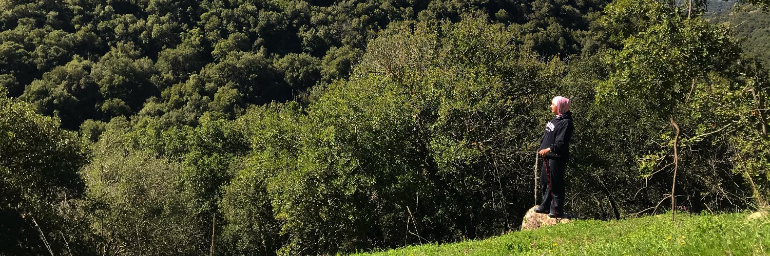 qamaralmimi's profile banner image