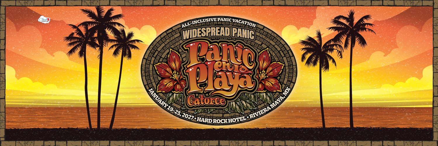 panicenlaplaya's profile banner image