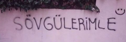 zeyneppoztsknn's profile banner image