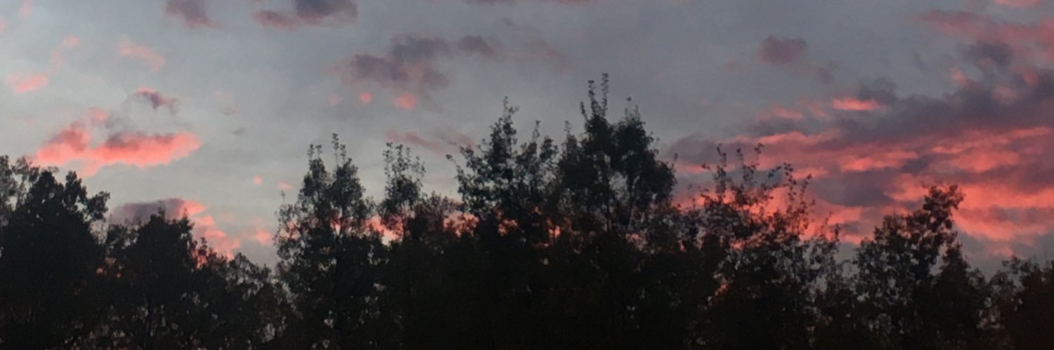 KIWl__'s profile banner image