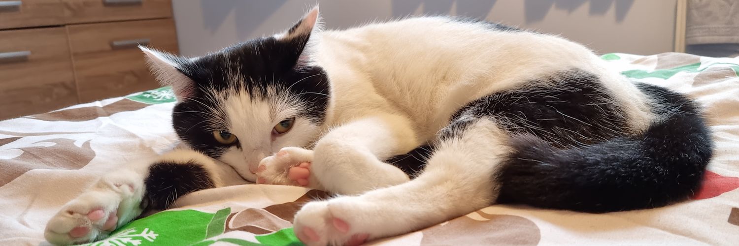 ⚒️SayCh🫧 banner