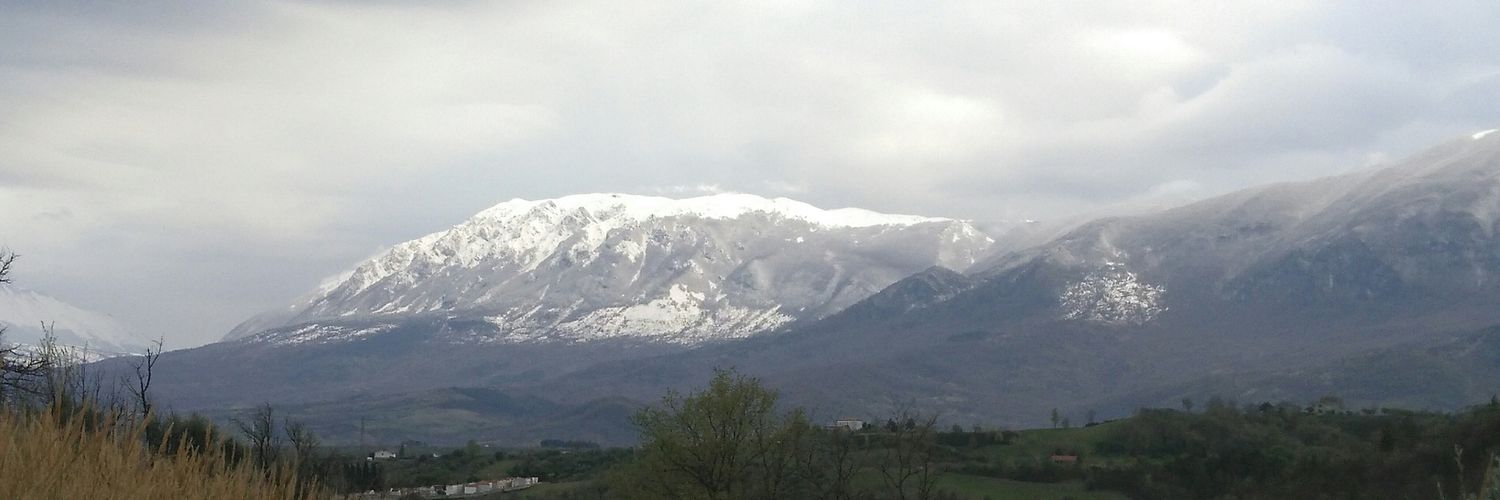 Diarmid Mackenzie banner